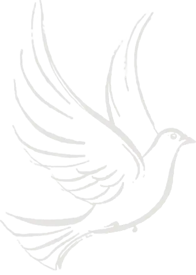 dove image
